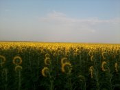 2013-07-11 18.52.00.jpg
