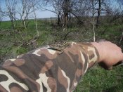 IMG_2667.JPG