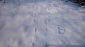 DSC_0025.JPG