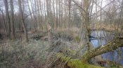 DSC_0510.JPG