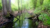 DSC_4259.JPG