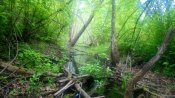 DSC_4261.JPG