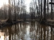 IMG_20200329_090342_172.jpg