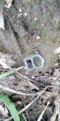 IMG_20201121_114535.jpg