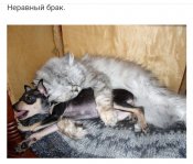 изображение_viber_2020-11-21_21-50-35.jpg