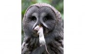 zoo_11.jpg