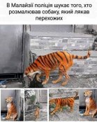 изображение_viber_2020-11-22_09-43-04.jpg