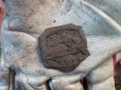 IMG_20201122_105516.jpg