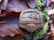 IMG_20201122_105753.jpg
