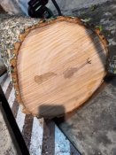 IMG_20201122_165347_685.jpg