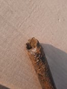 20201122_143031.jpg