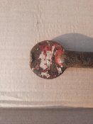 20201122_143040.jpg