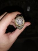 IMG_20201123_173755.jpg