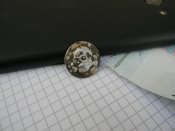 DSCN2964.JPG