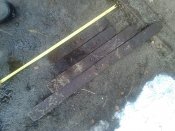 IMG_20201124_121609.jpg