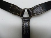 DSCN8267.JPG