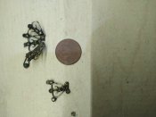 IMG_20201124_204520.jpg