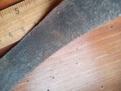IMG_20201125_080323.jpg