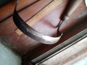 IMG_20201125_080333.jpg