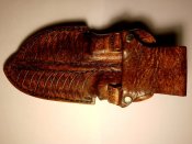 IMG_20201125_191048.jpg