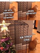 изображение_viber_2020-11-25_21-41-53.jpg