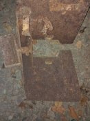 IMG_20201126_070147.jpg