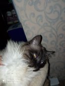 IMG_20201126_191535.jpg