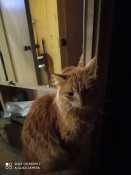 IMG_20201126_191423.jpg