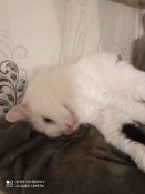IMG_20201126_191317.jpg