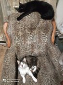 IMG_20201126_191134.jpg
