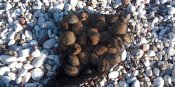 IMG_20201123_141029.jpg