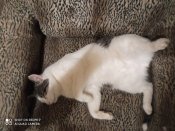 IMG_20201127_002214.jpg