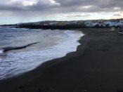 3177DDA8-631A-4F26-A7A7-27C2B6B5E7B3.jpeg