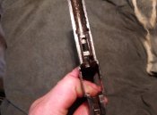 IMG_20201128_172444.jpg