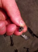 IMG_20201128_171716.jpg