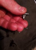 IMG_20201128_171620.jpg