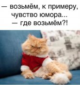 изображение_viber_2020-11-29_09-44-39.jpg