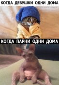 изображение_viber_2020-11-29_13-42-50.jpg