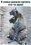 изображение_viber_2020-11-29_11-57-391.jpg