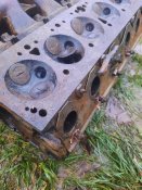 20201129_154839.jpg