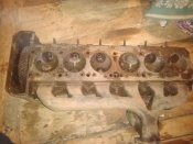 IMG-20201115-WA0048.jpg
