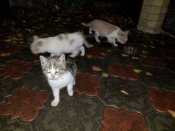 20201128_173744.jpg