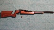 20201130_154618.jpg