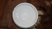 DSC00677.jpg