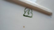 DSC03311.jpg