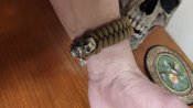 IMG_20201201_195845.jpg