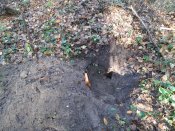 20201108_130318.jpg