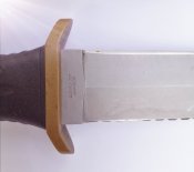 IMG_20201006_150929.jpg