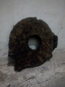 IMG_20201202_040323.jpg