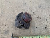 IMG_7029.jpeg